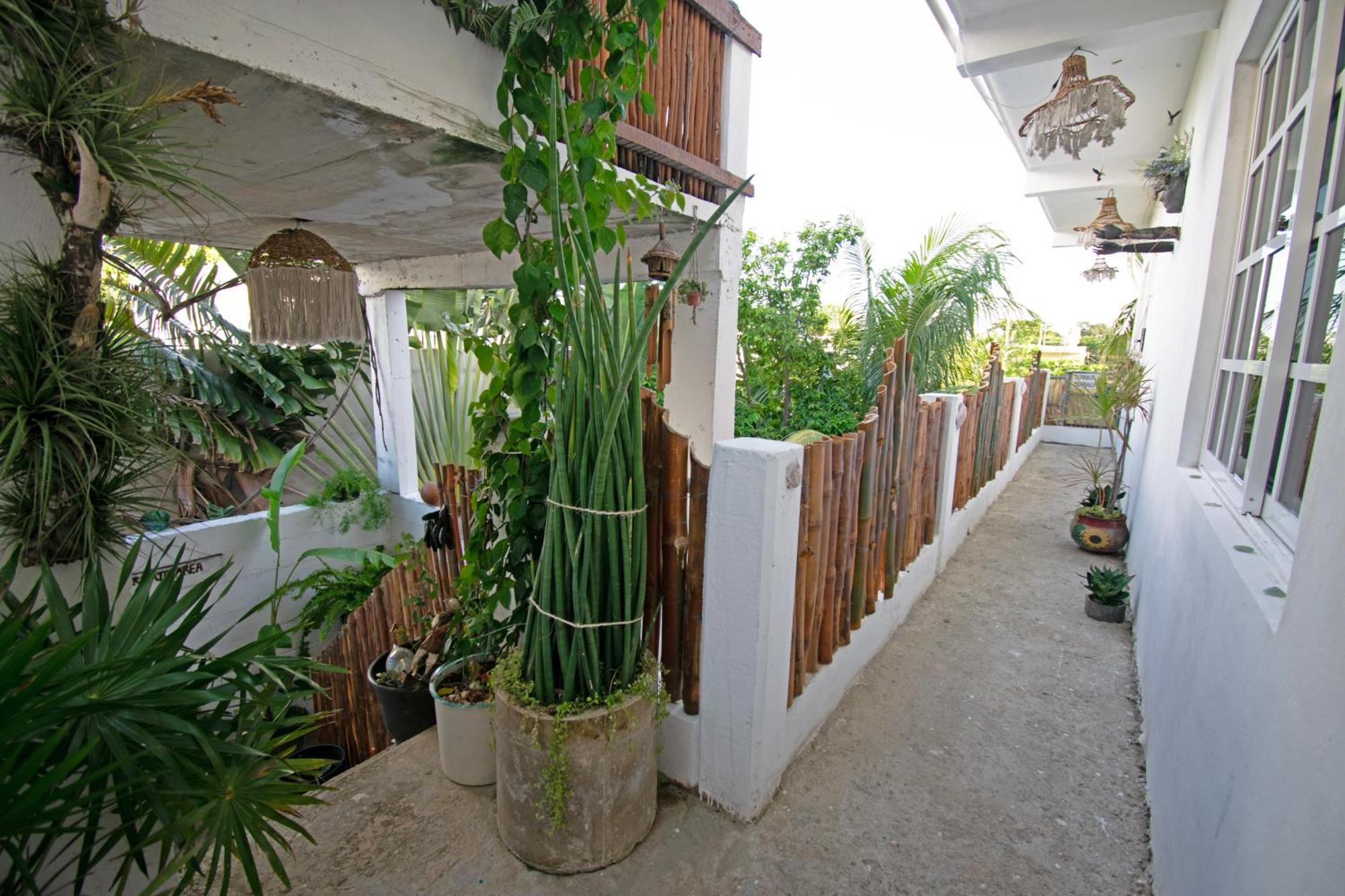 Casa Nomis 坎昆 外观 照片